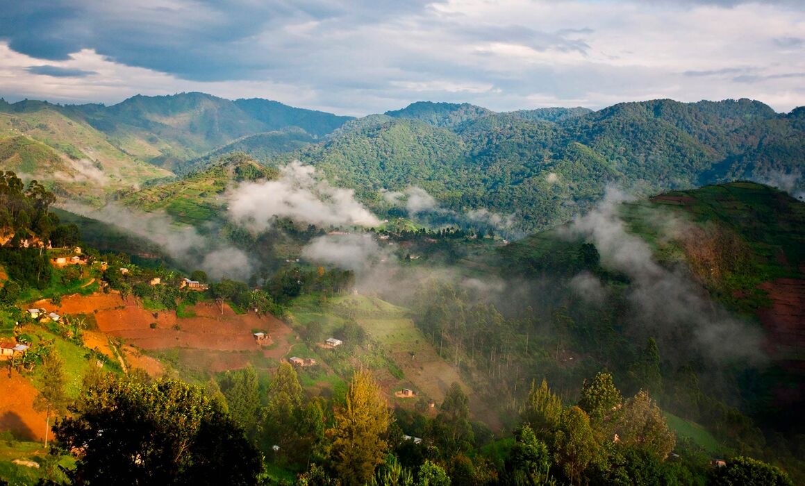 bwindi Bwindi